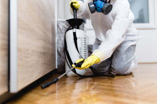 Best Insect Control  in Warsaw, IL