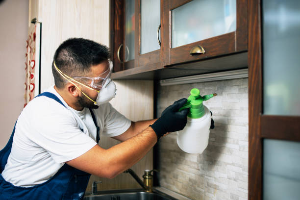 Best Flea Control Services  in Warsaw, IL