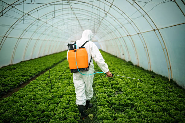 Best Mosquito Control Services  in Warsaw, IL