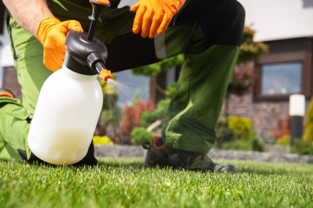 Best Best Pest Control Companies  in Warsaw, IL