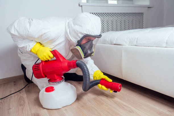 Best Local Pest Control Services  in Warsaw, IL