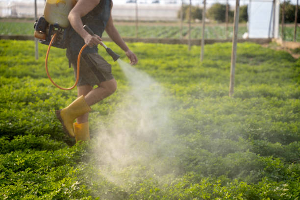 Best Residential Pest Control  in Warsaw, IL