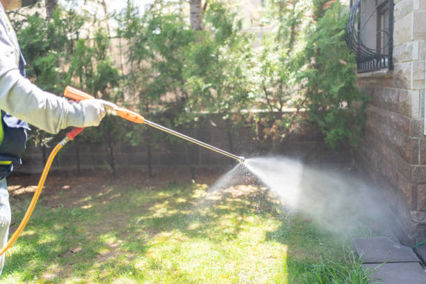 Best Spider Control Near Me  in Warsaw, IL