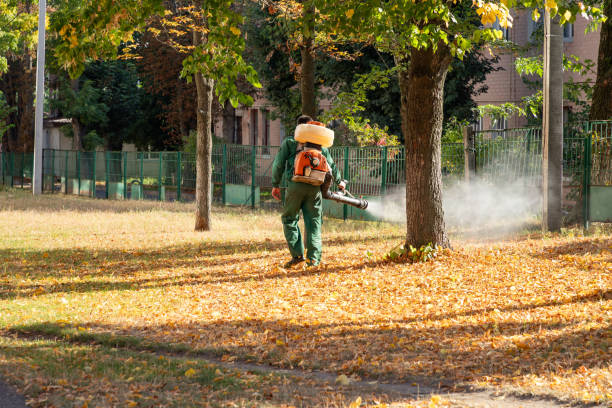 Best Commercial Pest Control Services  in Warsaw, IL