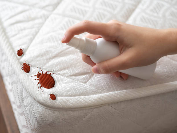 Best Pest Control Near Me  in Warsaw, IL