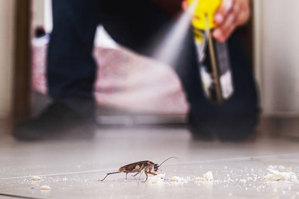 Best Cockroach Control Services  in Warsaw, IL