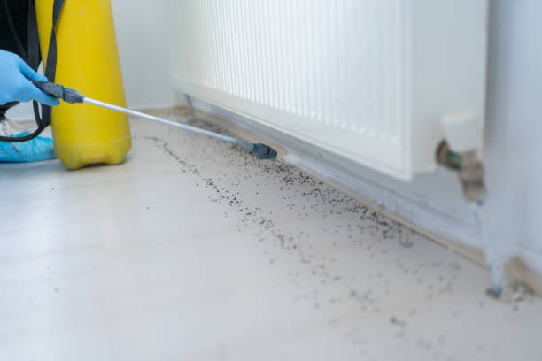 Best Pest Removal Services  in Warsaw, IL