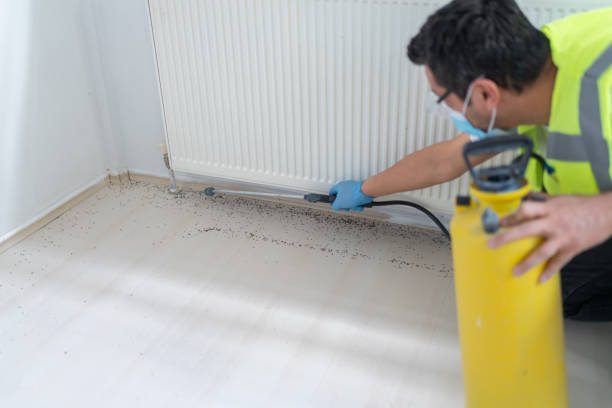 Wasp Removal Services in Warsaw, IL