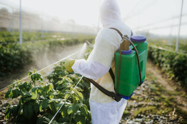 Pest Prevention Services in Warsaw, IL